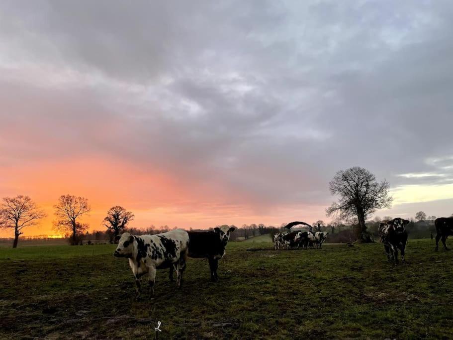 Gites Le Bisson Heussé Exterior foto